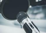 scandinavian voice over